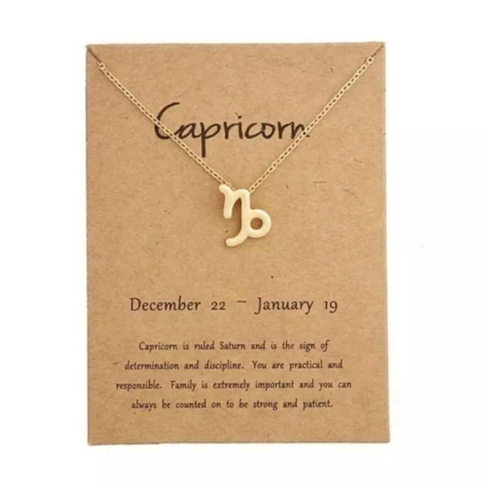 3/$30 ♑️ Capricorn Zodiac Sign Necklace